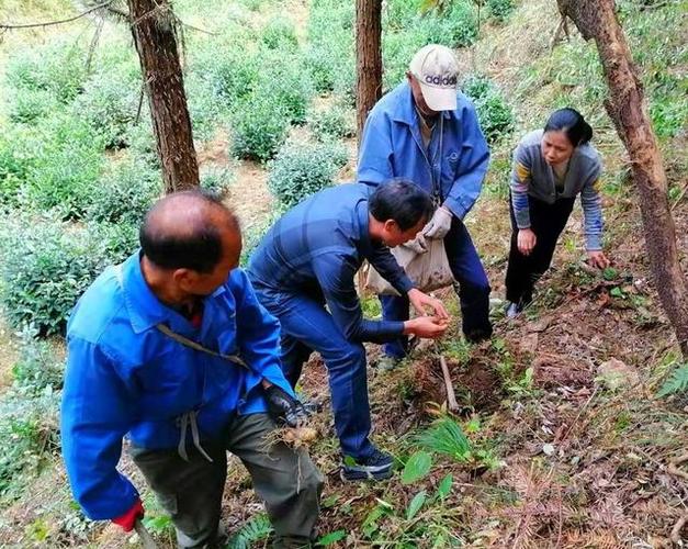 高爾夫球包帽套時尚搭配指南