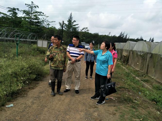 高爾夫產品供應鏈流程關鍵點分析