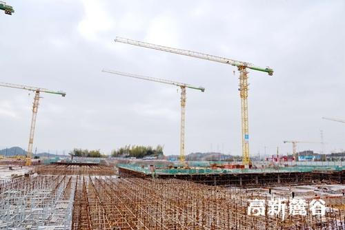 五大要點幫你選購理想高爾夫球桿球頭