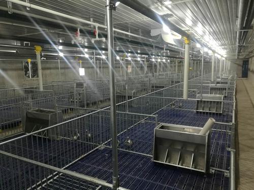 握把磨損跡象高爾夫更換指南