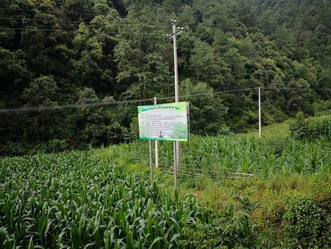 高爾夫球桿球頭調(diào)校提升揮桿穩(wěn)定性秘訣