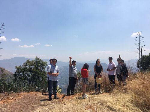 高爾夫球具套裝選性價(jià)比最高產(chǎn)品