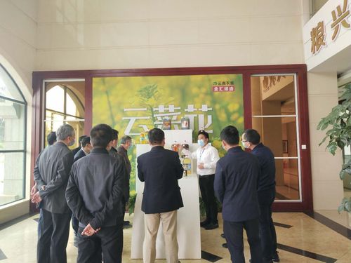 高爾夫球包如何選購全面解析