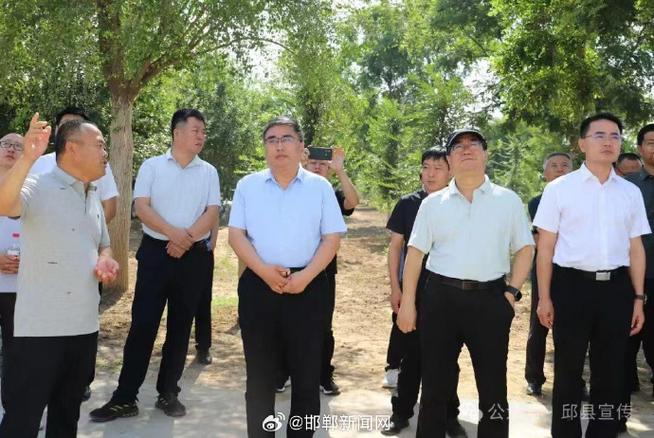 高爾夫球包防水功能全面評測報告