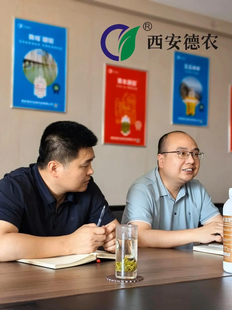 高爾夫球桿和球頭搭配技巧全攻略