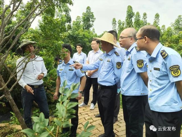 高爾夫球包大容量實用性能詳細(xì)測評