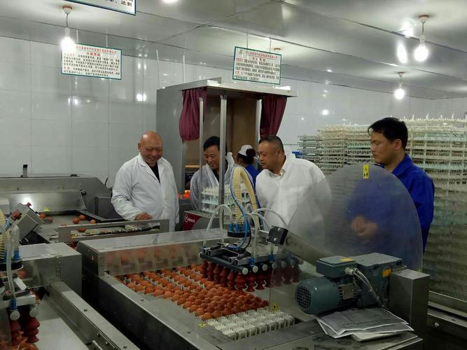 新手如何選高爾夫球桿球頭技巧