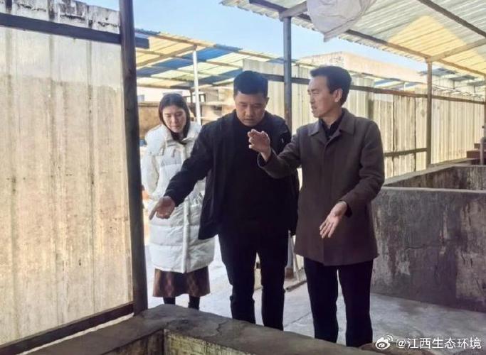 性價比高的高爾夫球具套裝體驗評測