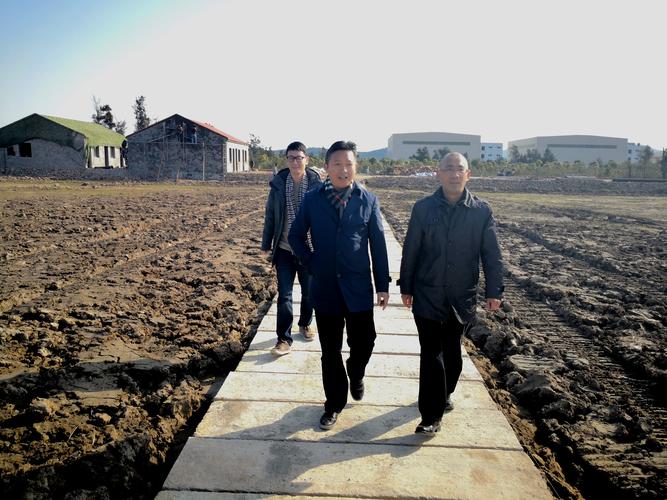 高爾夫握把問題原因及實用解決建議