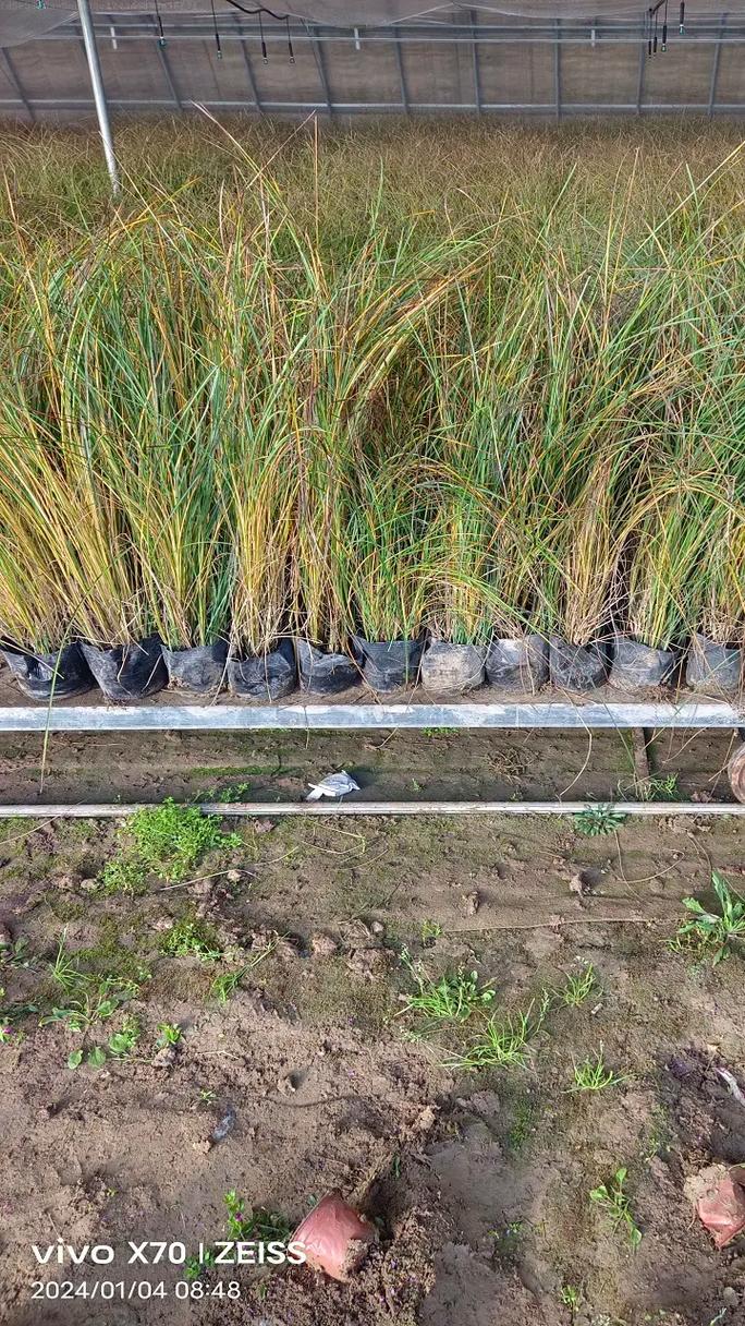 實(shí)用高爾夫球包優(yōu)質(zhì)款式推薦