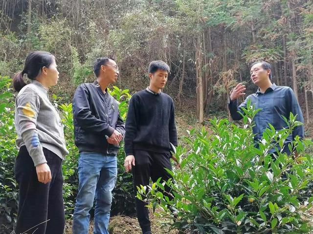 球頭材質(zhì)變化對高爾夫球桿速度影響