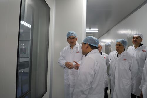 高爾夫球桿球頭不同材料優(yōu)缺點分析