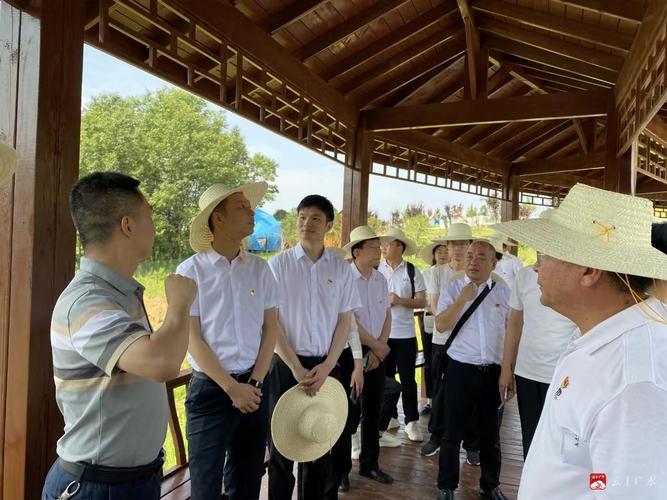 高爾夫握把材質(zhì)優(yōu)缺點詳細分析